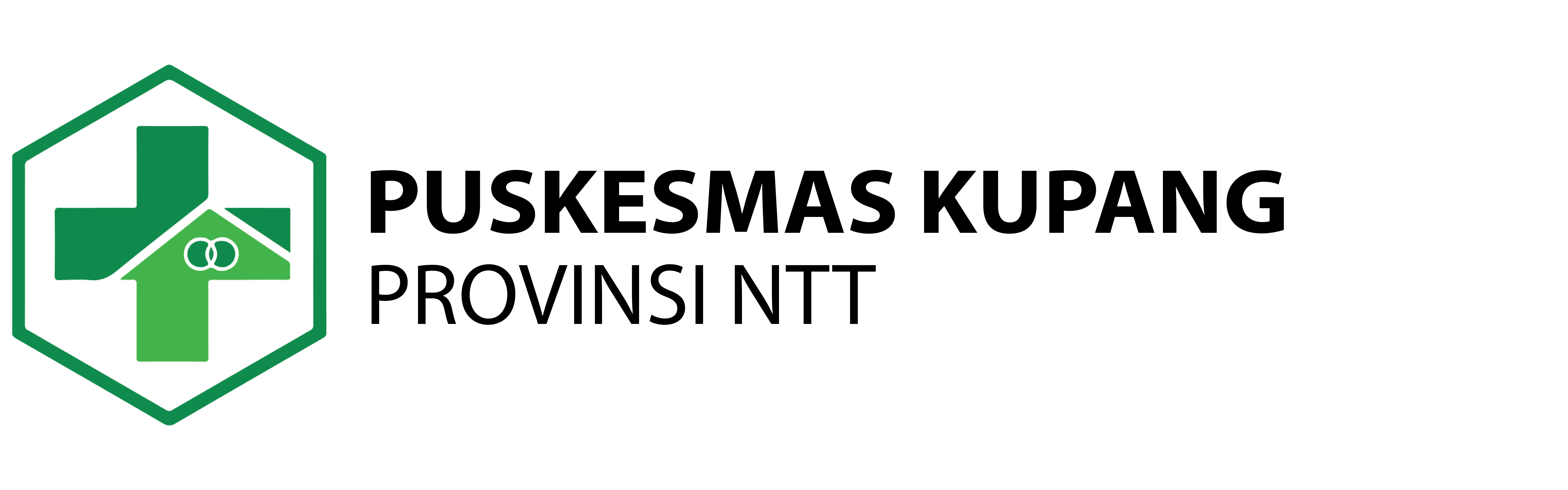 Logo Puskesmas